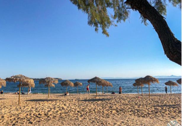 Beautiful Brand New Apartment Seaside Athen Eksteriør bilde