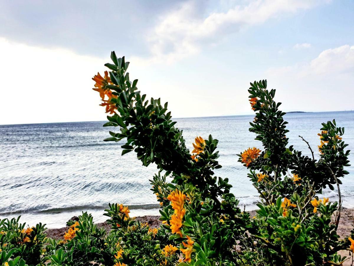 Beautiful Brand New Apartment Seaside Athen Eksteriør bilde